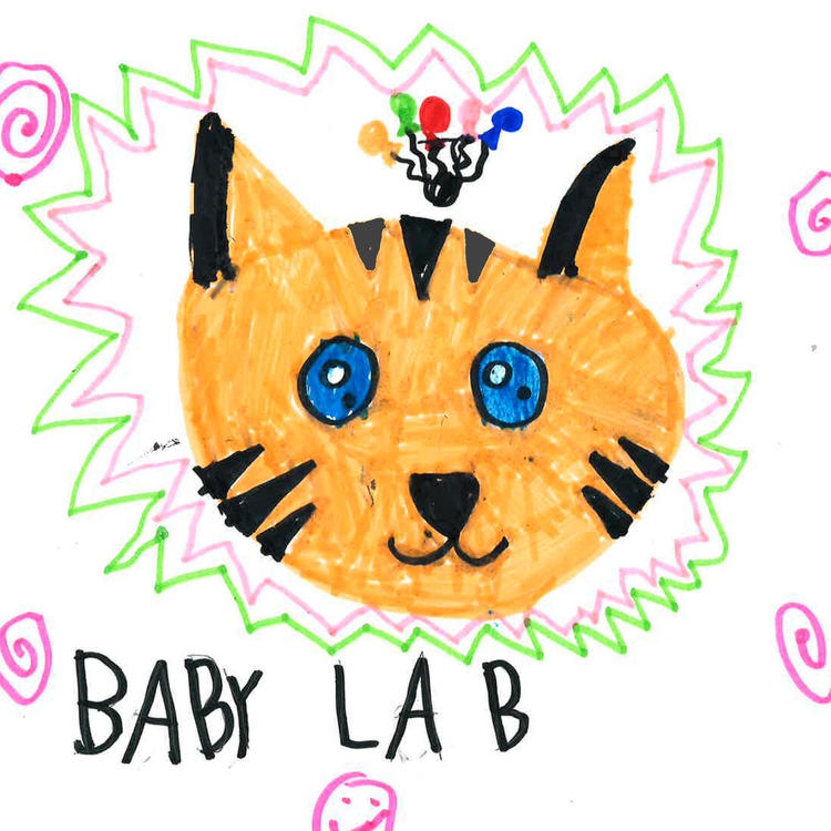 child's illustration of tiger with words "Princeton Baby Lab"