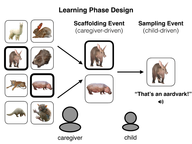 Diagram of learning phase design